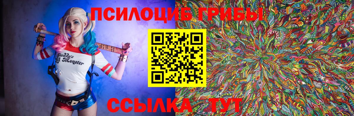 Галлюциногенные грибы Psilocybe Кудымкар