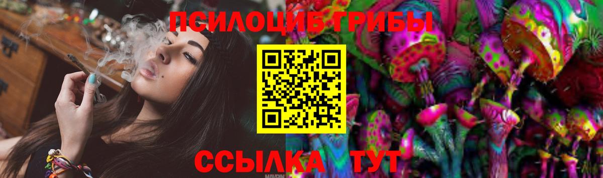 Кудымкар  где купить наркотик  Вход с VPN  Псилоцибиновые грибы MAGIC MUSHROOMS  Псилоцибиновые грибы мухоморы 