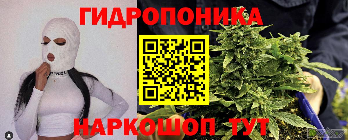 Шишки марихуана VHQ  Вход с VPN  Бошки Шишки конопля  Конопля планчик  Кудымкар 